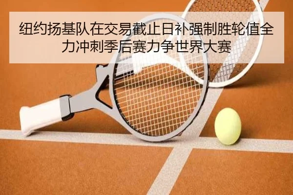 纽约扬基队在交易截止日补强制胜轮值全力冲刺季后赛力争世界大赛